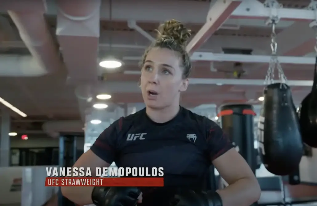 New UFC Gloves