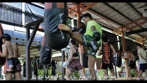 Felipe Lobo Training Vlog at Tiger Muay Thai Banner